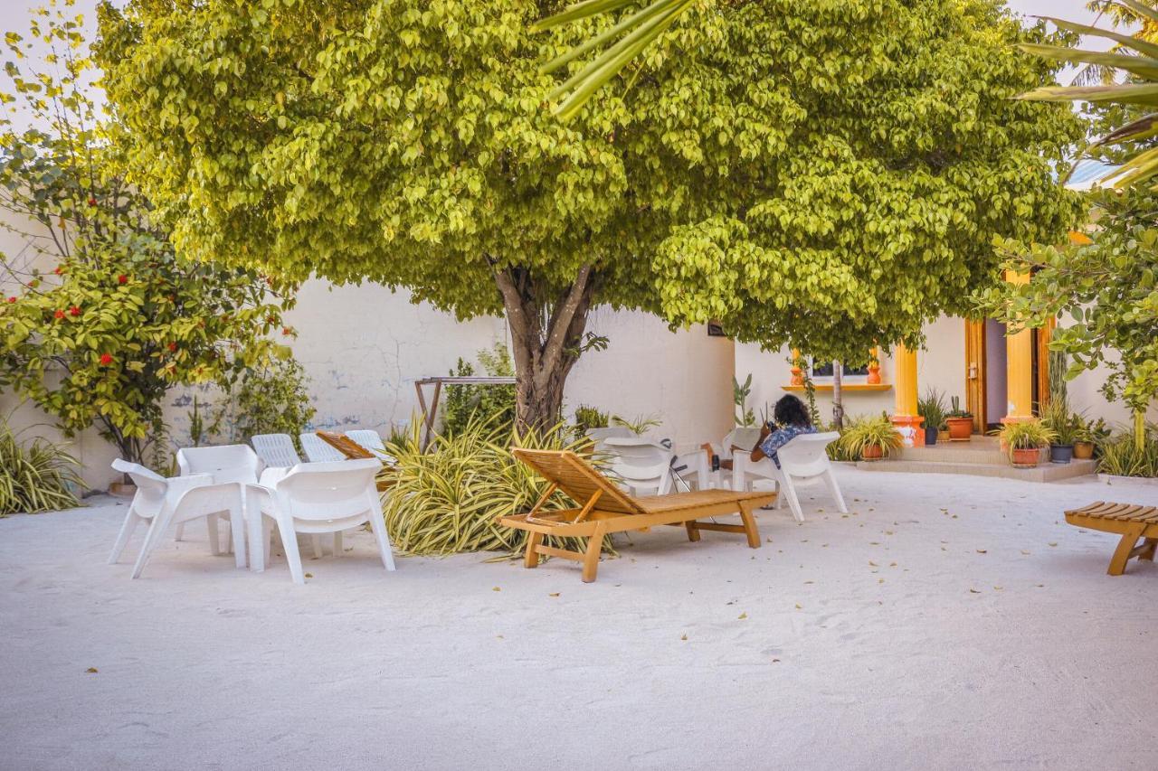 Summer Vibes Beach Front Rasdhoo Dış mekan fotoğraf